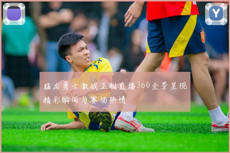 猛龙勇士激战正酣直播360全景呈现精彩瞬间与赛场热情